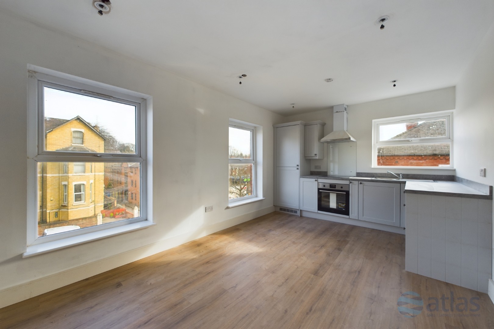 Kitchen / Living Area